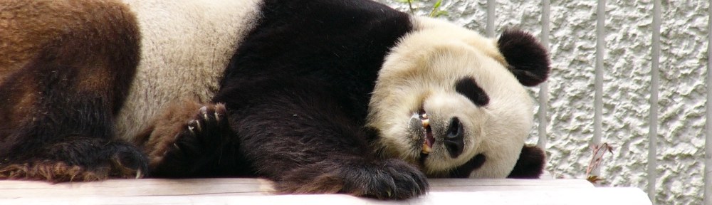 PandaLove.net